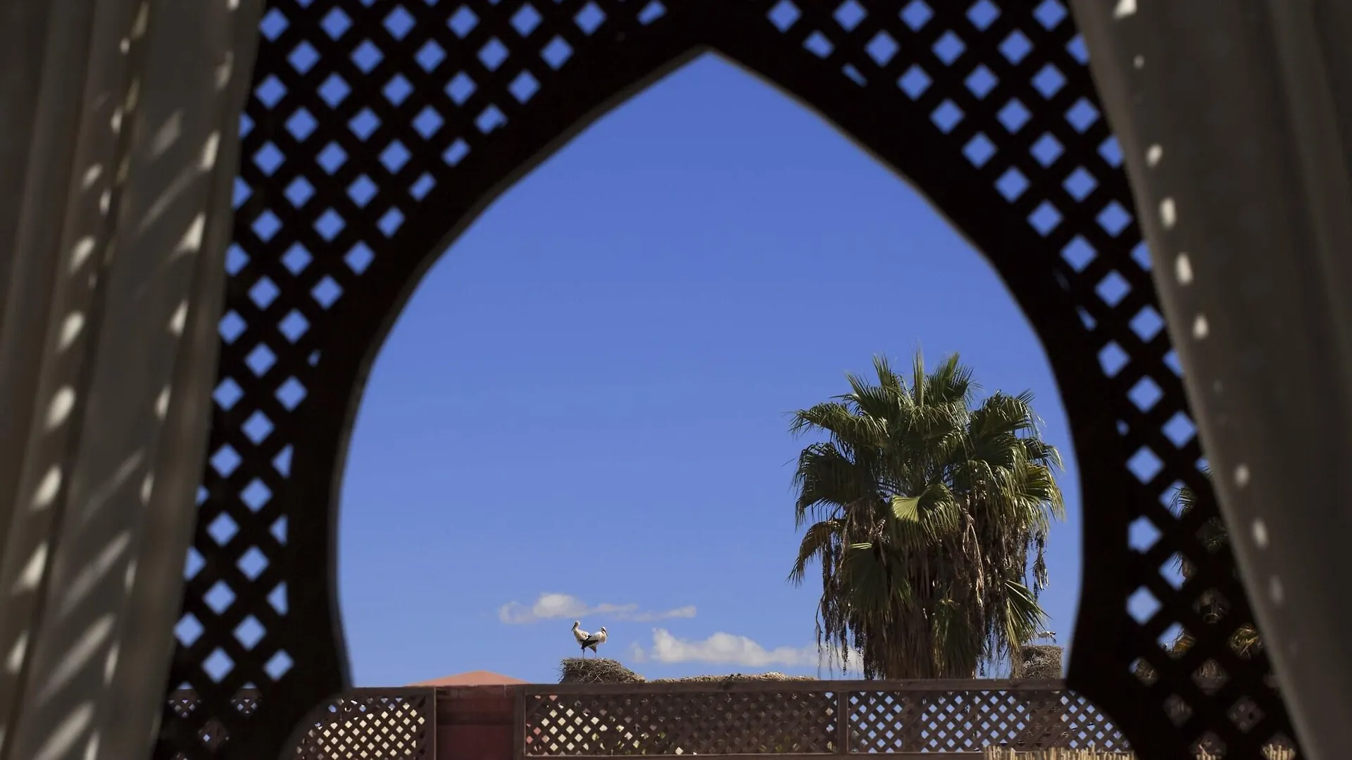 Riad Dar Alfarah Marrakesh