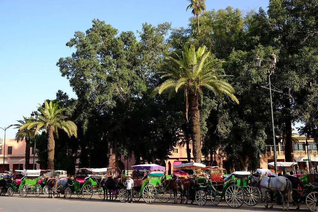 Riad Dar Alfarah Marrakesz